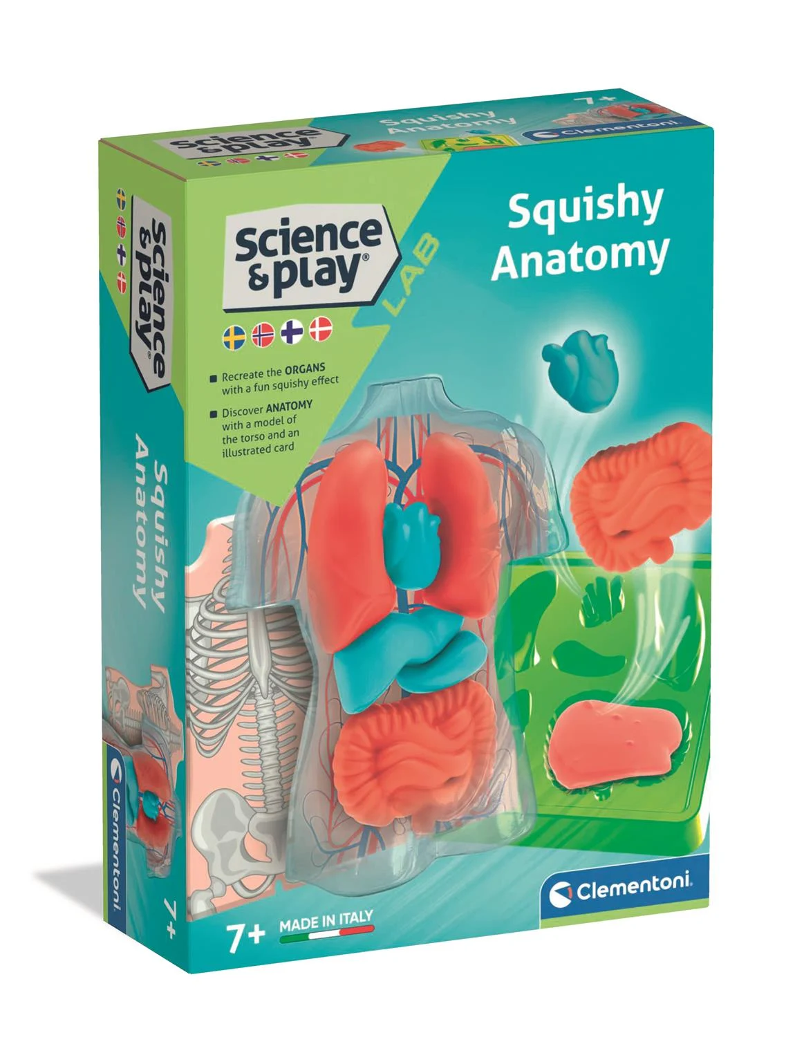 Clementoni - Mini Squishy Organs (I-78851) v:9862242