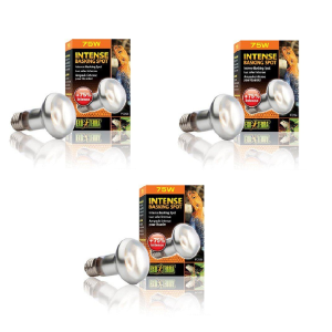 Exo Terra – 3x Intense Basking Spot 75W S20 E27 Orange – Bundle (220.2475) v:6811344