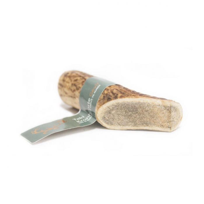 Taki - Deer antler S 10 cm - (01-605) - 50 - Small v:7243098
