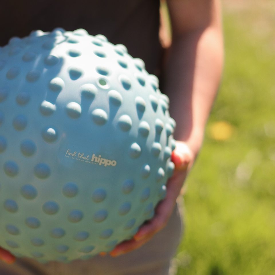 Find that hippo – Large sensory ball – Weldon Blue (53100501) v:6484091