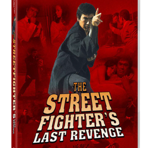 STREET FIGHTER – LAST REVENGE (Sonny Chiba) v:5845665