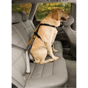 KURGO – Safety strap for the car seat belt – (81314601187) v:7604247 KURGO – Safety strap for the car seat belt – (81314601187) v:7604247