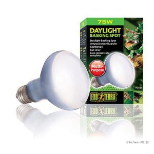 Exo Terra – Daylight Basking Spot 75W R20 E27 Green – (220.2720) v:7885974 Exo Terra – Daylight Basking Spot 75W R20 E27 Green – (220.2720) v:7885974