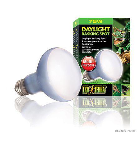 Exo Terra - Daylight Basking Spot 75W R20 E27 Green - (220.2720) v:7885974