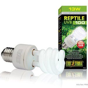 Exo Terra – Reptile Uvb 100 Fluorescent lamp 13W E27 – (220.1870) v:1647546 Exo Terra – Reptile Uvb 100 Fluorescent lamp 13W E27 – (220.1870) v:1647546