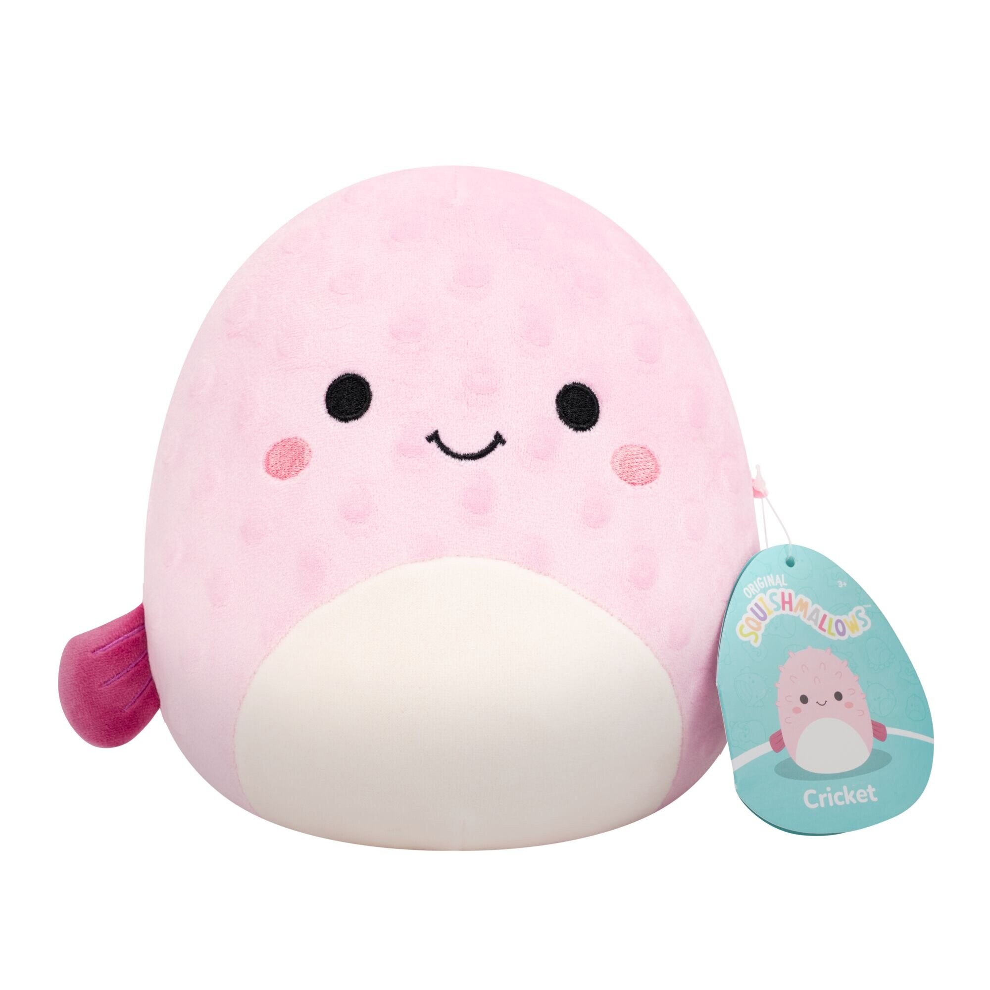 Squishmallows - 19 cm P27 Cricket - Cricket - Squishmallows v:5769786