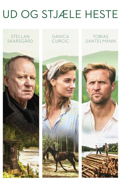 Ud Og Stjæle Heste v:9343907