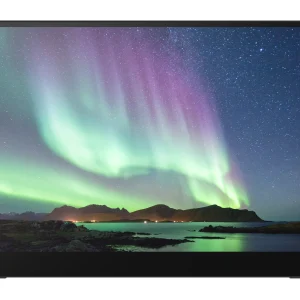 RICOH – Portable Monitor 150BW OLED 15,6'' (Wireless) – Gratis frakt v:9159620