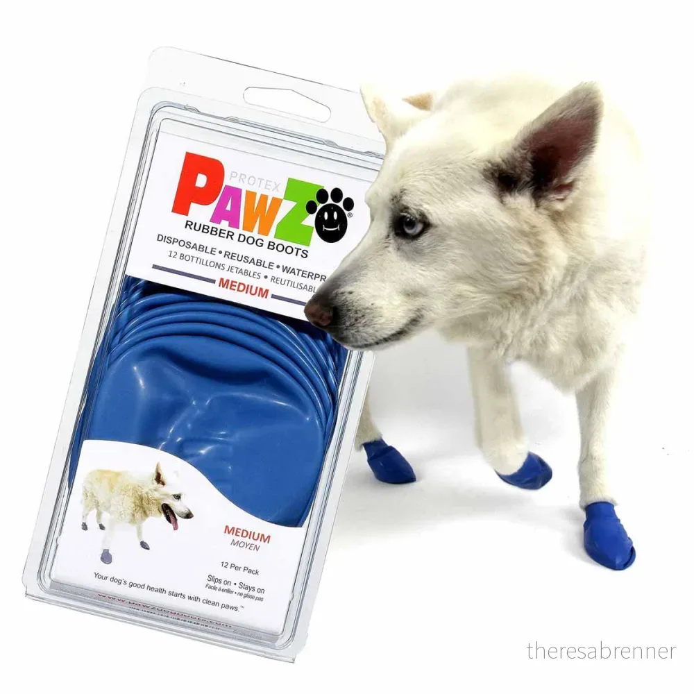 PawZ – Rubber Dog Boots – M – Blue – 12 pcs v:5708912 PawZ – Rubber Dog Boots – M – Blue – 12 pcs v:5708912