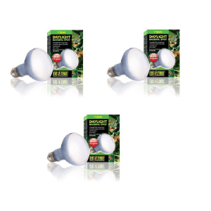 Exo Terra – 3x Daylight Basking Spot 75W R20 E27 Green – Bundle (220.2720) v:4096877