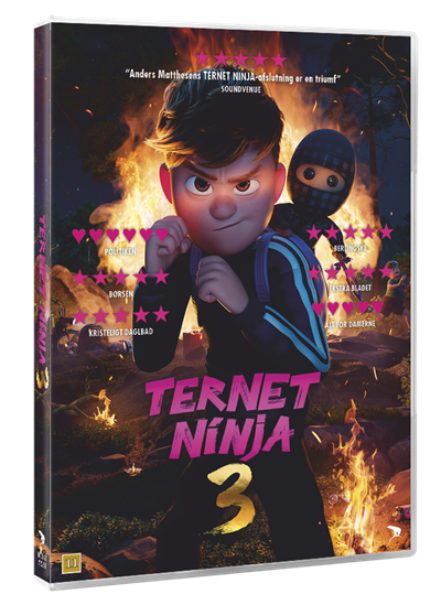 TERNET NINJA 3 - (DVD) v:7675872