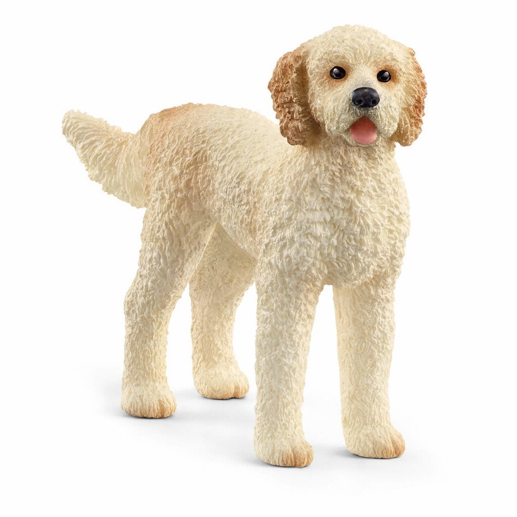 Schleich Farm World – Goldendoodle (13939) v:2445833 Schleich Farm World – Goldendoodle (13939) v:2445833
