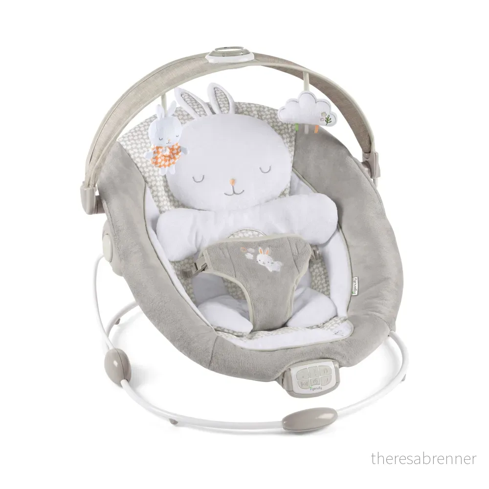 Ingenuity – InLighten Bouncer – Twinkle Tails – (IN-11200) – Gratis frakt v:2814298 Ingenuity – InLighten Bouncer – Twinkle Tails – (IN-11200) – Gratis frakt v:2814298