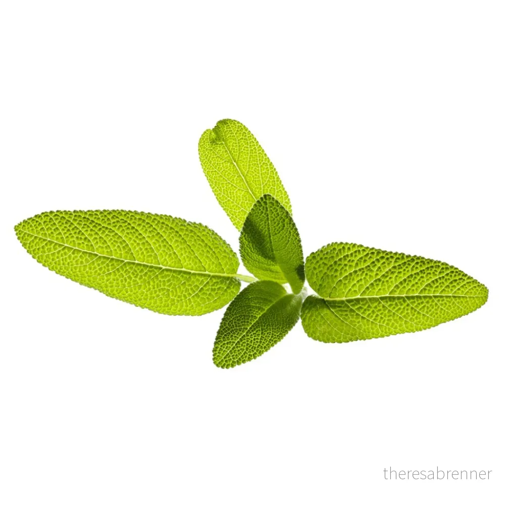 Click and Grow - Smart Garden Refill 3-pack Garden Sage v:8530335