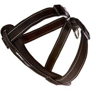 EZYDOG – Harness Neoprene – Black – S – 6-10kg – Walking/Car Harness – S – black v:7238700
