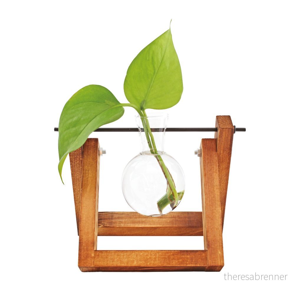 Winkee - Hydro Vases Flower Vase v:3396674