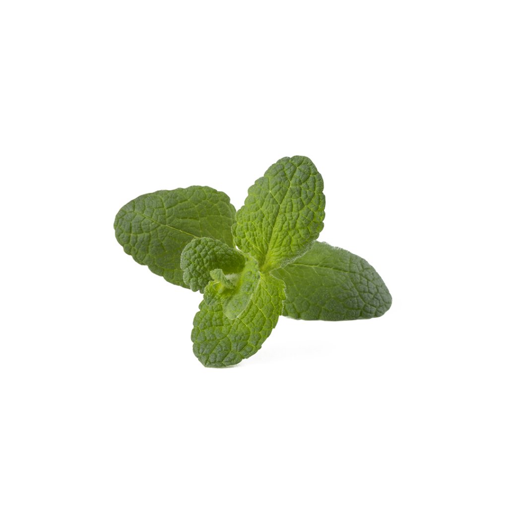 Click and Grow - Smart Garden Refill 3-pack - Apple Mint (SGR79X3) v:5674454