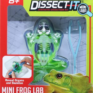 Sensory Compounds – Frog In Giftbox (12-38083) v:3969621 Sensory Compounds – Frog In Giftbox (12-38083) v:3969621