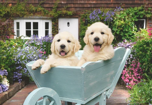 Ravensburger - Golden Retriever 200p Ad - (12001368) v:6174635