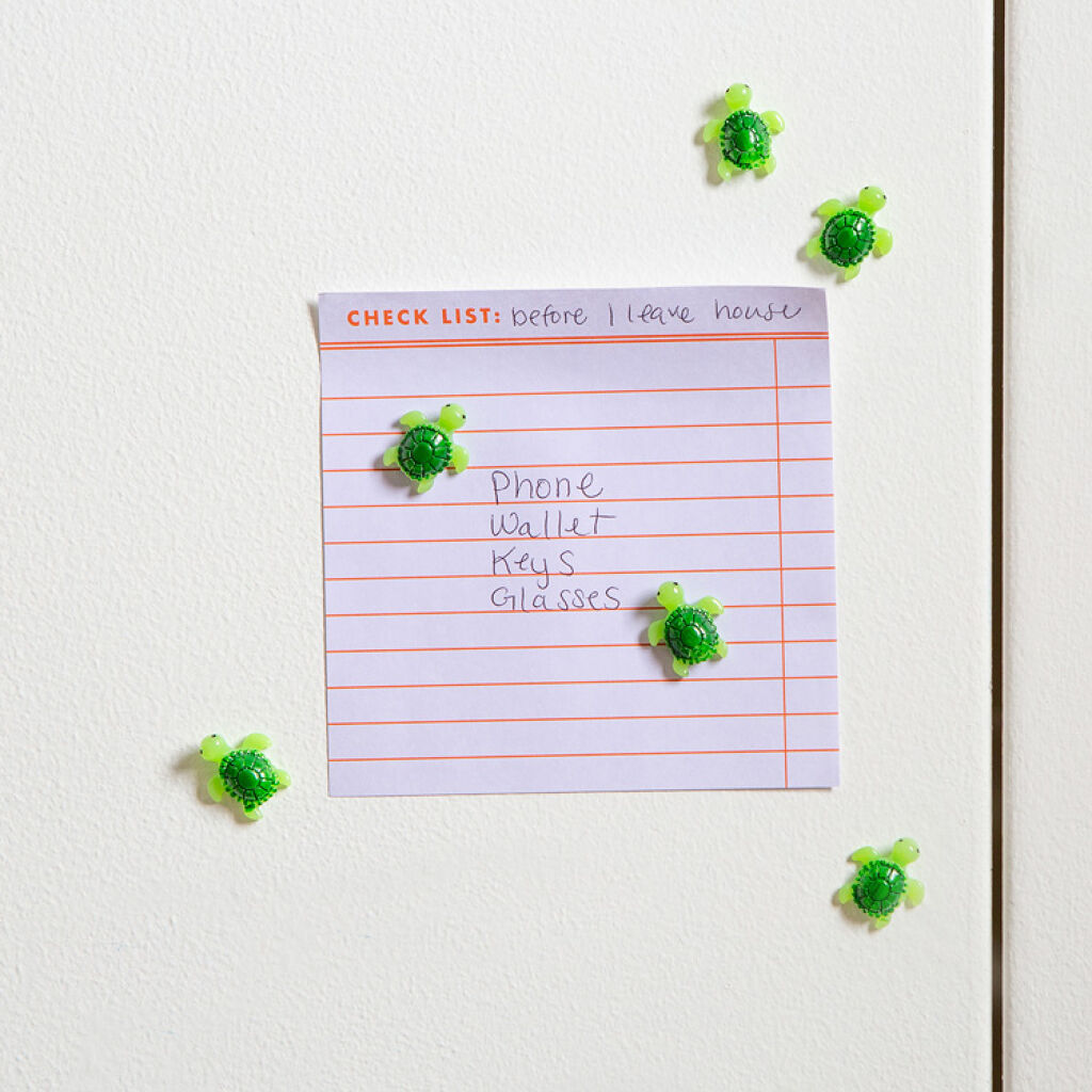 Kikkerland - Baby Turtle Magnets (MG97) v:3914353