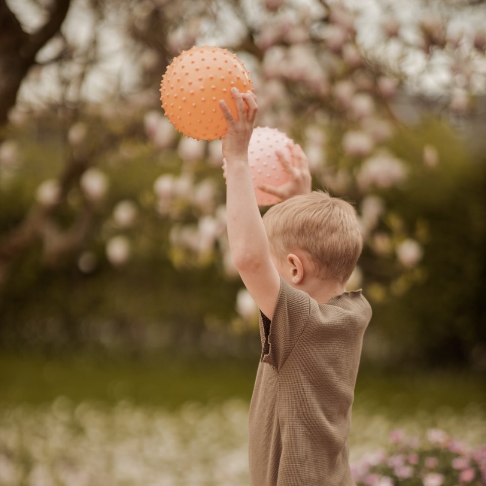Find that hippo – Sensory Balls – Rosy Brown & Buff (53100400) v:7689903 Find that hippo – Sensory Balls – Rosy Brown & Buff (53100400) v:7689903