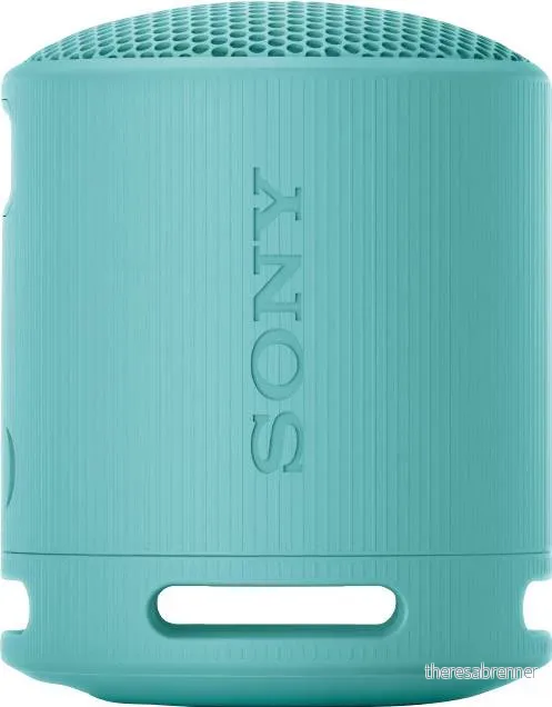 Sony - SRS-XB100 portable Bluetooth speaker - Blue v:2844338