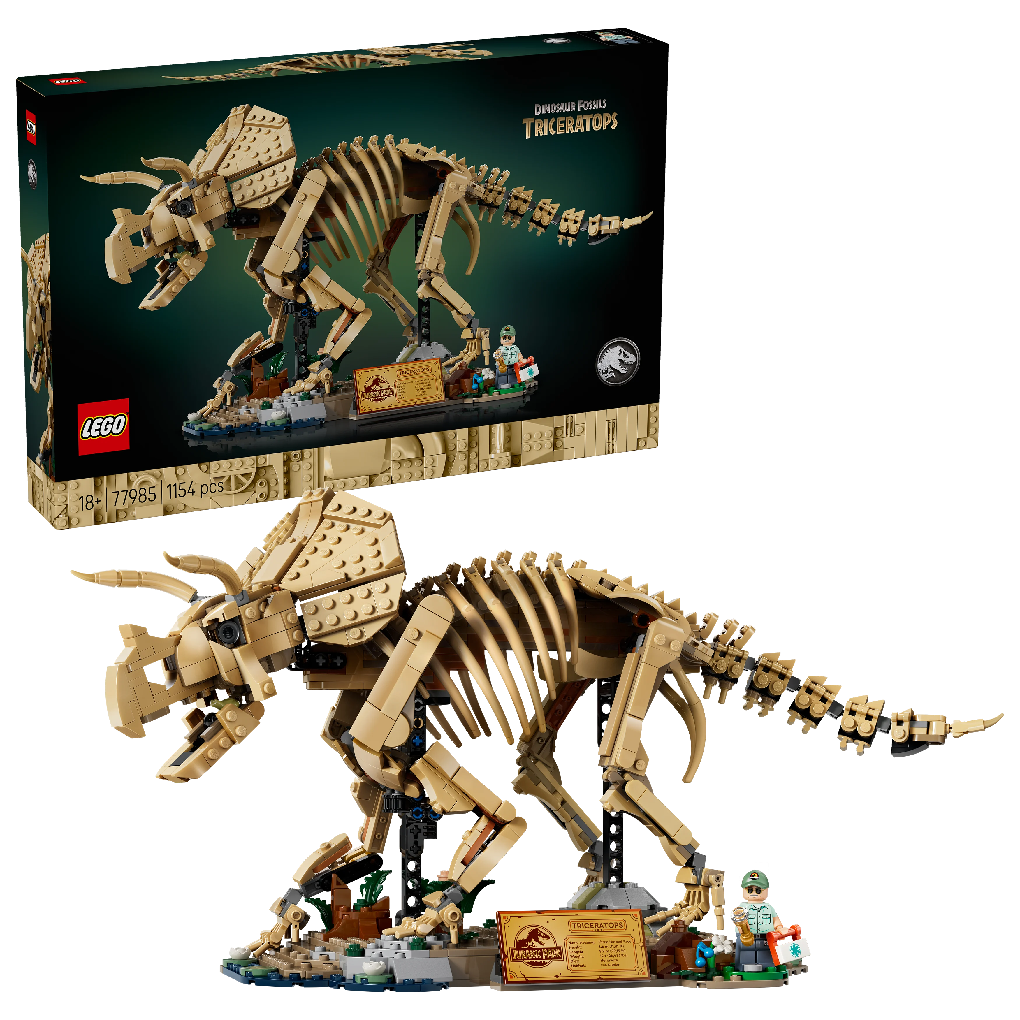 Dinosaurfossiler: Triceratops – Gratis frakt v:1938189