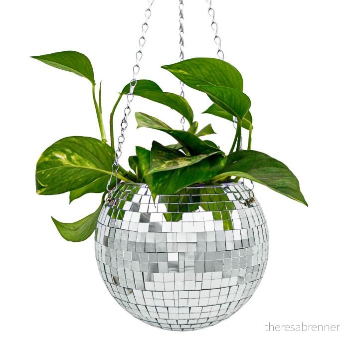 Mikamax - Funky Disco Planter v:9805040