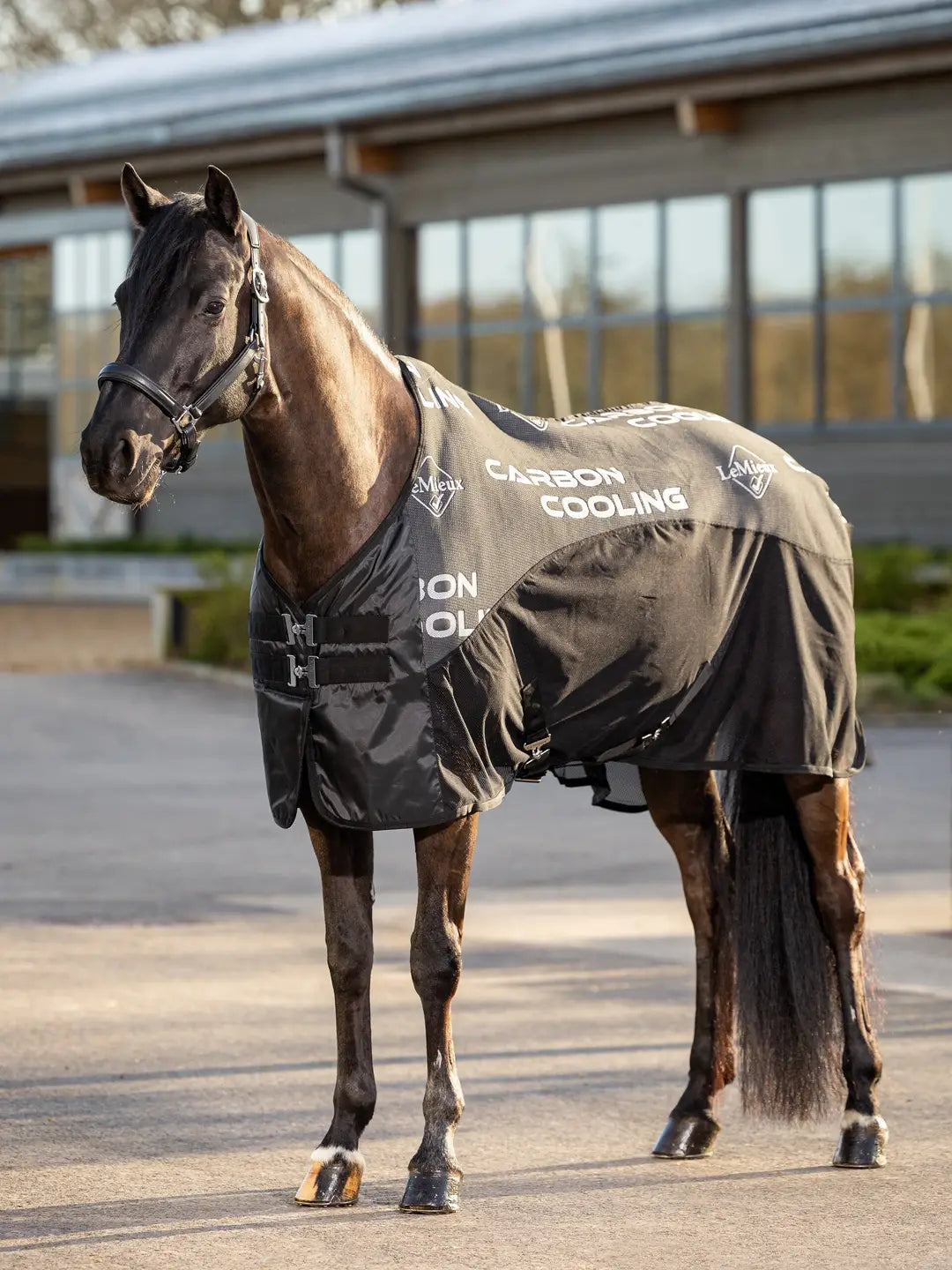 Lemieux - Carbon Cooler Rug - Black - 145 cm - Gratis frakt v:8296384