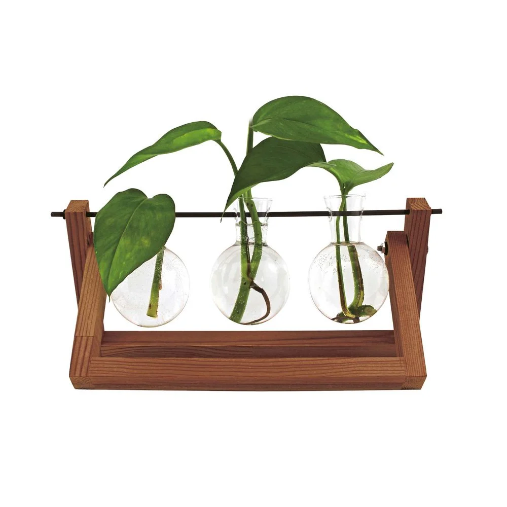 Winkee - Hydro Vases Blossom - Vase v:7839712