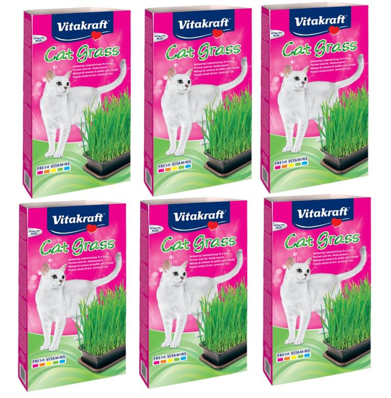 Vitakraft - 6 x Cat Grass 120g v:7242582