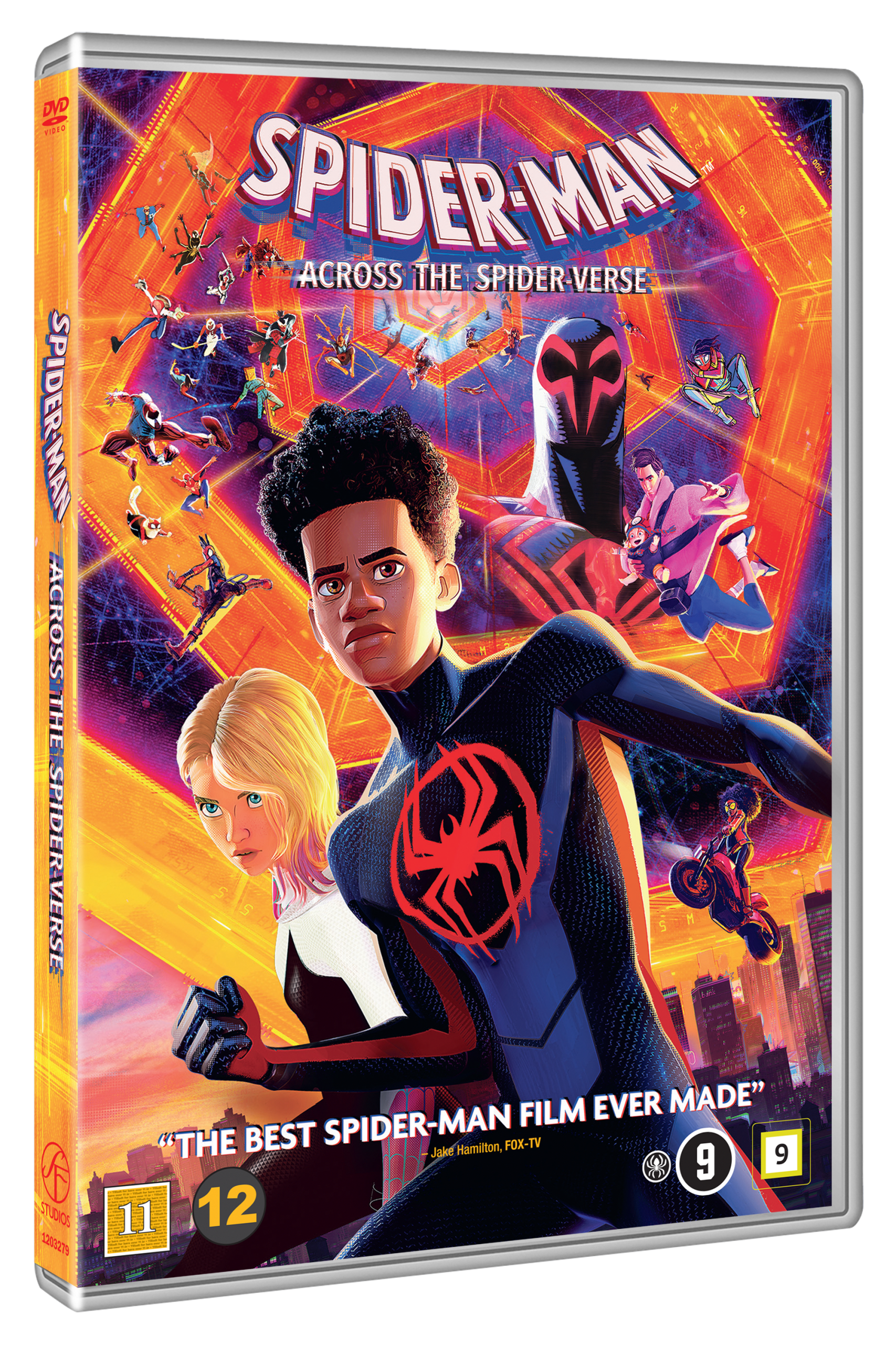Spider-Man: Across the Spider-Verse - DVD - Standard v:1374010