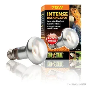 Exo Terra – Intense Basking Spot 75W S20 E27 Orange – (220.2475) v:6560295 Exo Terra – Intense Basking Spot 75W S20 E27 Orange – (220.2475) v:6560295