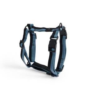 HAY – Dogs Harness Medium (Blue & Black) – M – Blue & Black v:8260780 HAY – Dogs Harness Medium (Blue & Black) – M – Blue & Black v:8260780