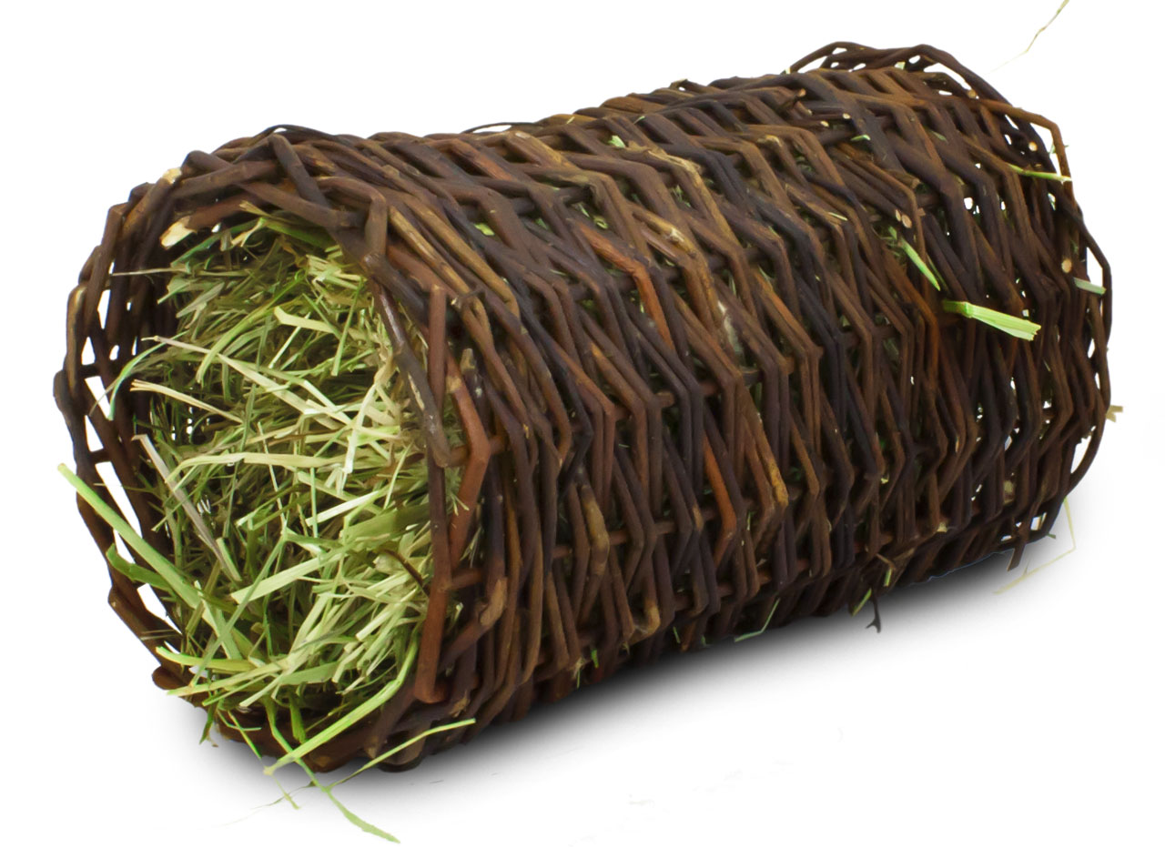 Jr Farm - JR Tunnel with Mountain Meadow Hay - Medium v:3475084