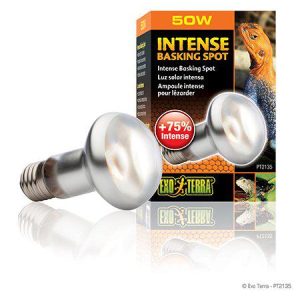Exo Terra – Intense Basking Spot 50W S20 E27 Orange – (220.2450) v:5475131 Exo Terra – Intense Basking Spot 50W S20 E27 Orange – (220.2450) v:5475131