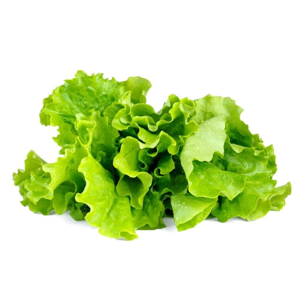 Click and Grow - Smart Garden Refill 3-pack - Green Lettuce (SGR32X3) v:2691273