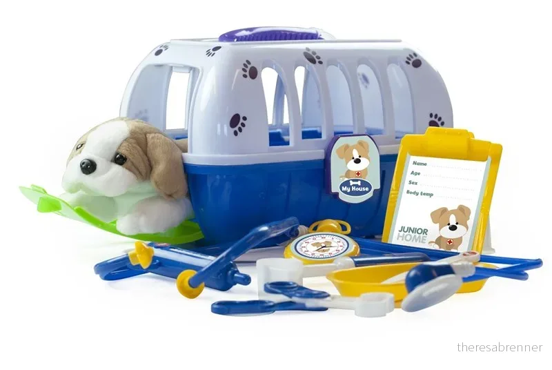 Junior Home - Pet Vet Play Set (505133) v:4803967