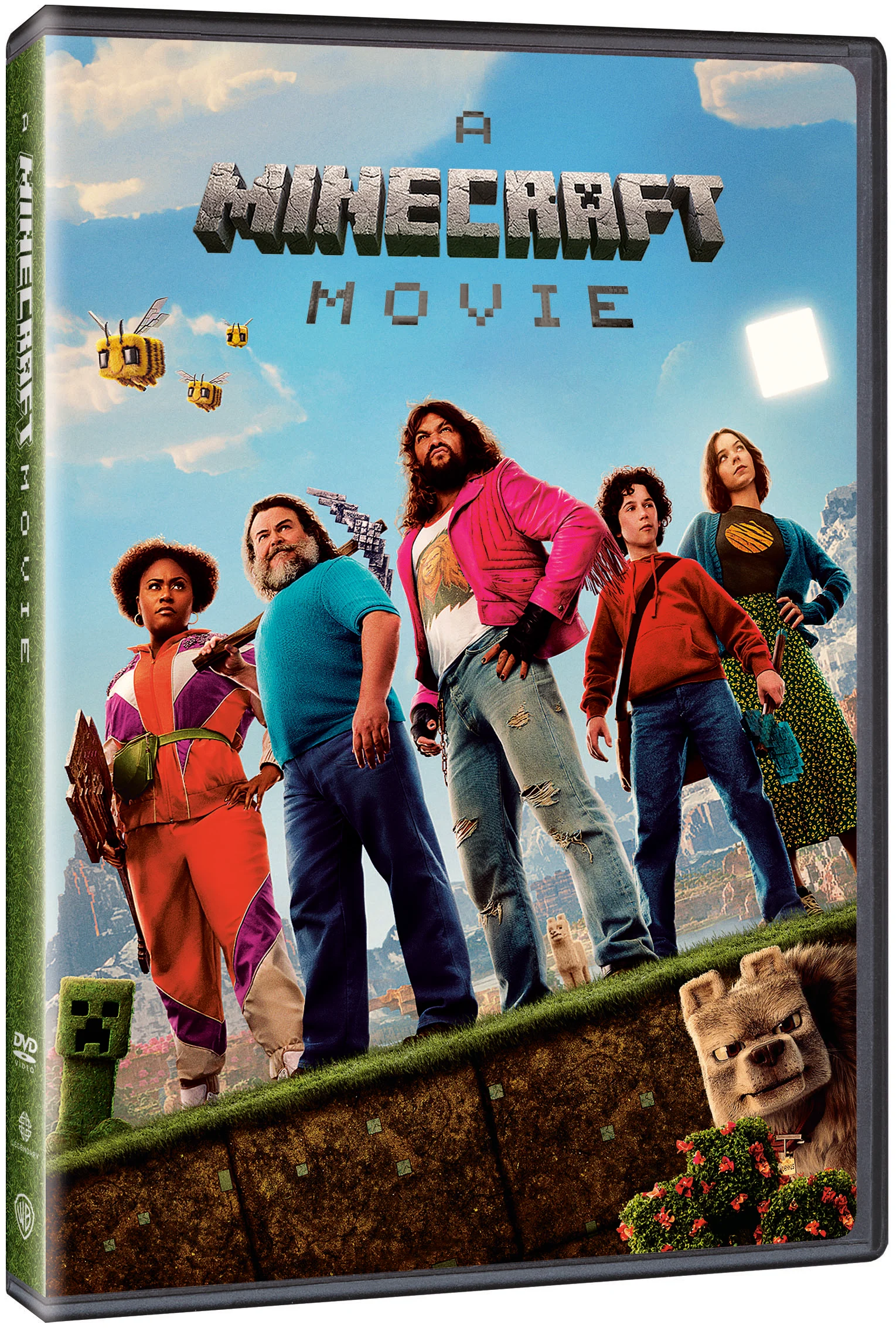 A MINECRAFT MOVIE - DVD - Standard v:9876393
