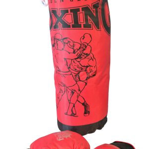 Boxing Pad with Boxing Gloves (26884) v:3983036