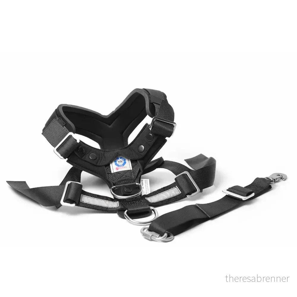 Mimsafe – Allsafe Large 30-55kg Car harness – crash-tested – Gratis frakt v:5171168 Mimsafe – Allsafe Large 30-55kg Car harness – crash-tested – Gratis frakt v:5171168