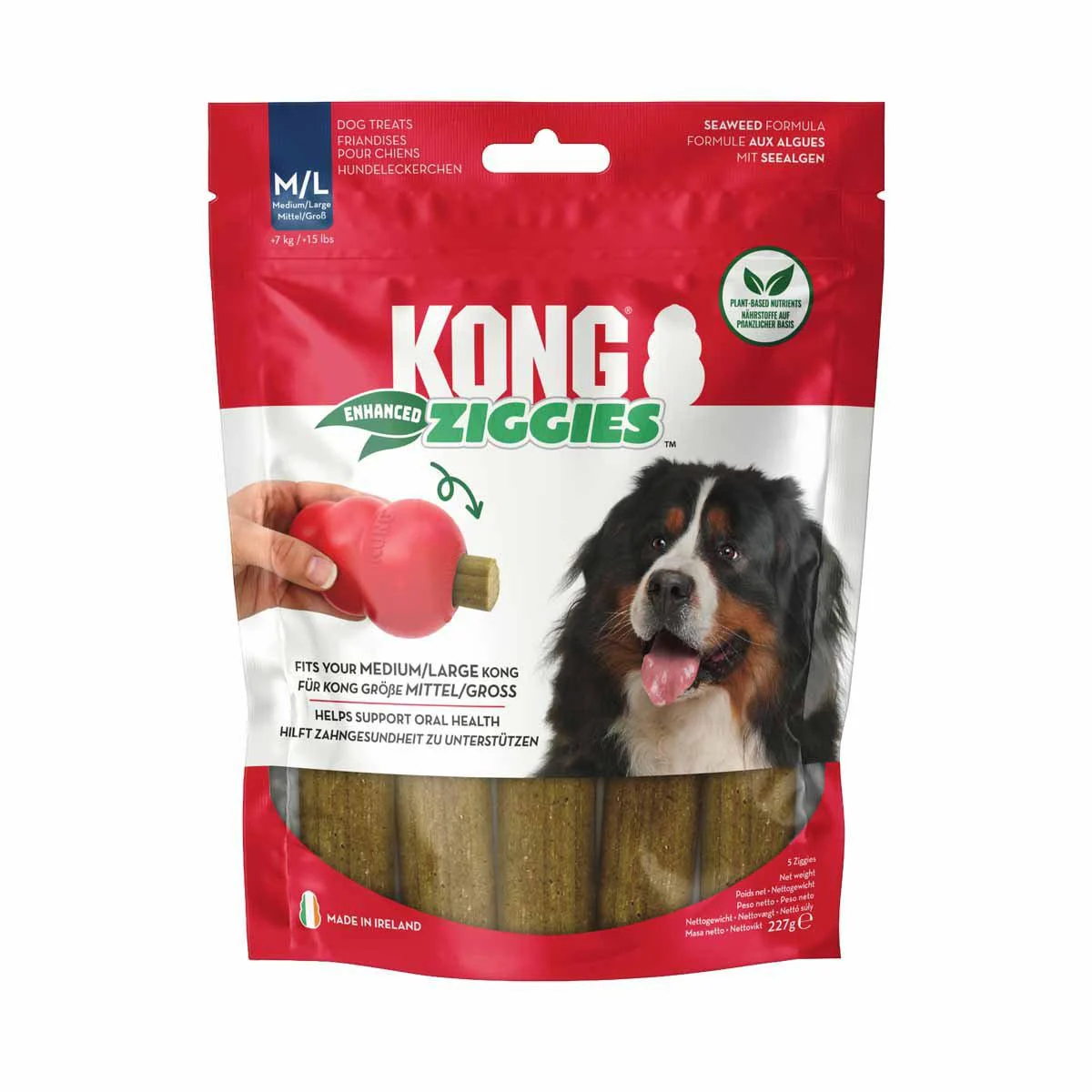 KONG - Ziggies Enhanced - M/L v:4607869